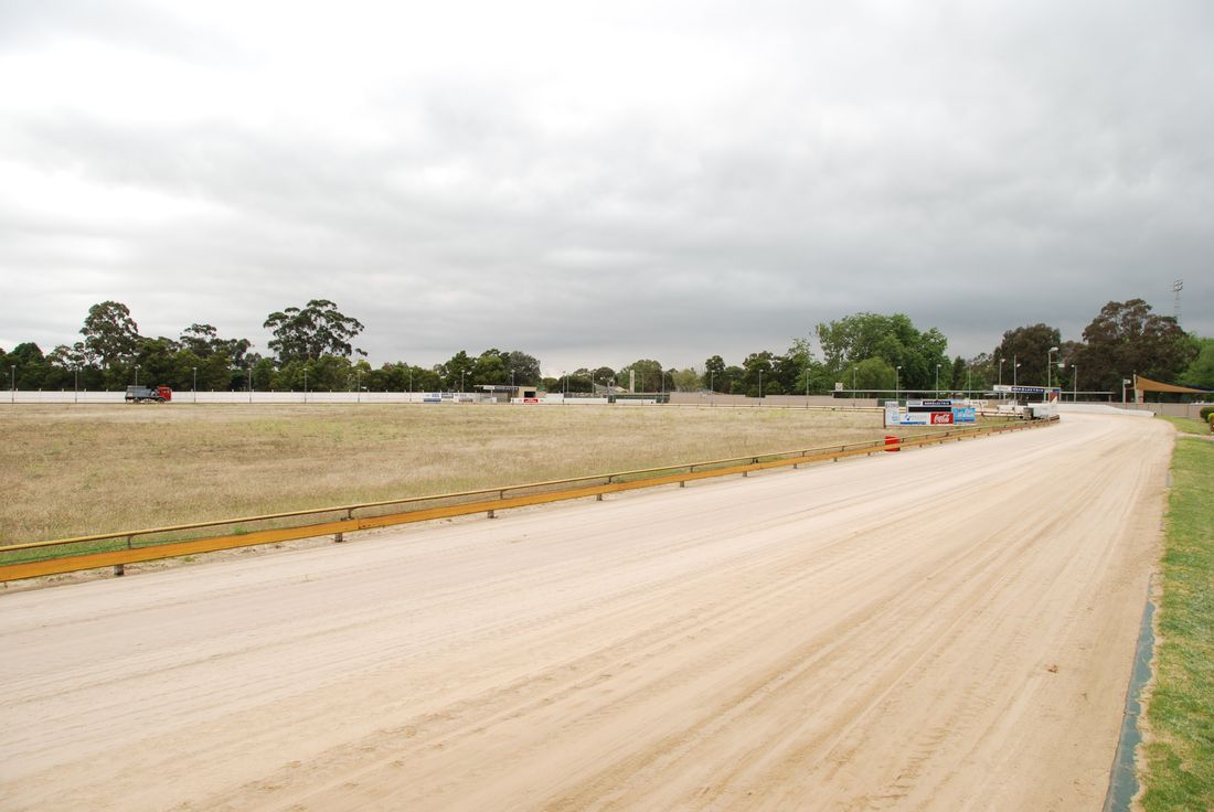 greyhound club sale